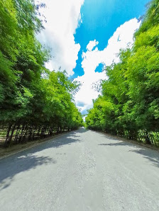 Rai Chern Tawan Meditation Center (W. Wachiramethi) thumb 6